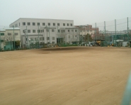 西向島公園野球場の写真