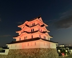尼崎城ライトアップの写真