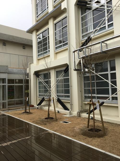水堂小学校（校舎　補強）