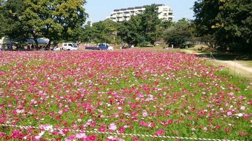 10月19日現在の様子