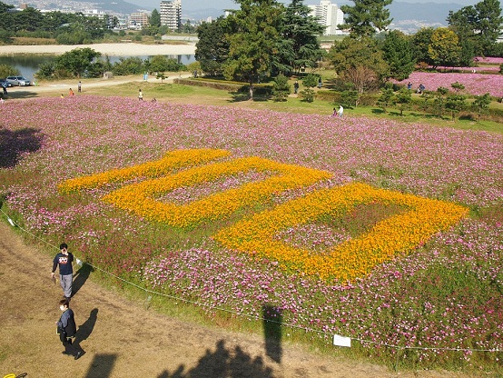 花文字