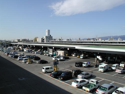 写真1