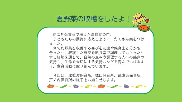 夏野菜の収穫をしたよ