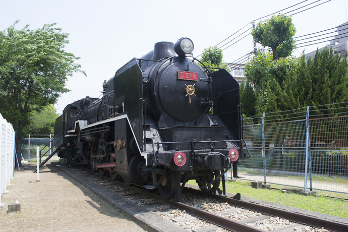 D51