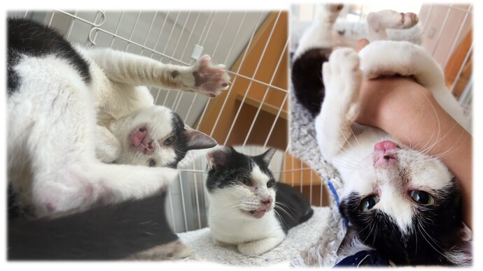 みどの写真