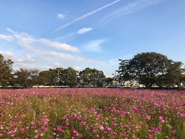 71日目の様子