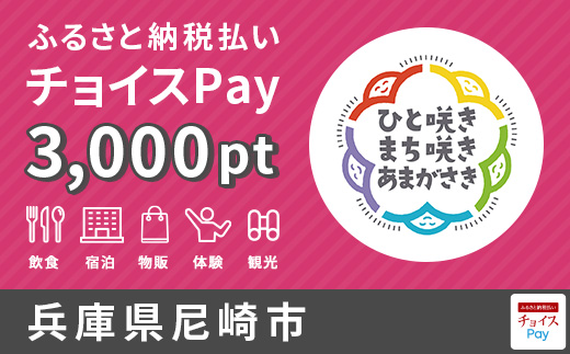 チョイスPay3,000ポイント