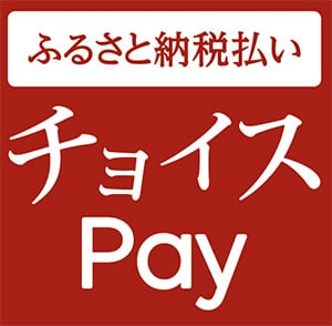 チョイスPay（外部リンク・新しいウィンドウで開きます）