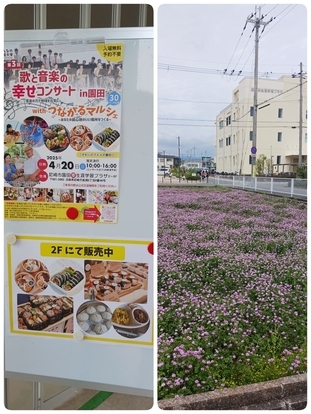 会場正面とれんげ畑