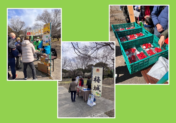 農業公園梅祭りの出張販売の様子