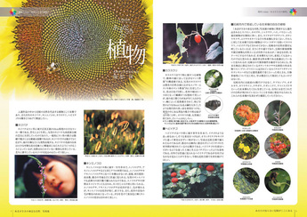 あまがさきの身近な自然写真集 植物のページ