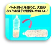 ペットボトルに大豆と水を入れた写真