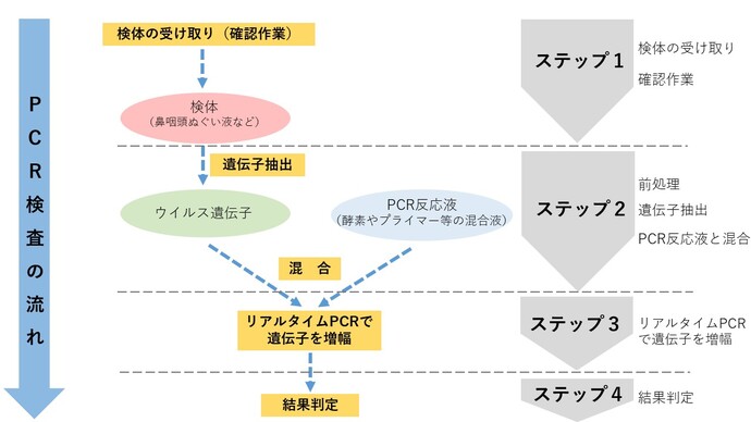 フロー図：検査の流れ