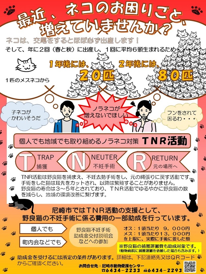 最近、ネコのお困りごと増えていませんか？