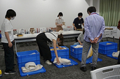 土器の陳列作業写真