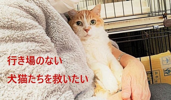 C.O.N画像