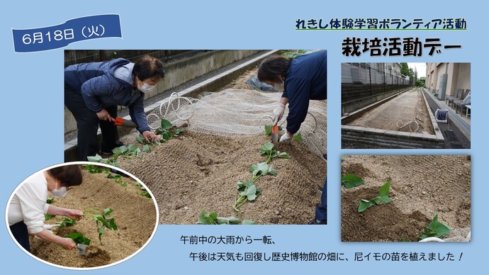 6月18日の活動写真