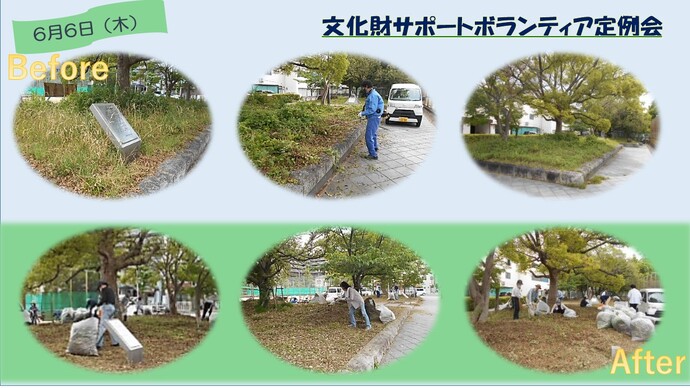ボランティア活動の写真1