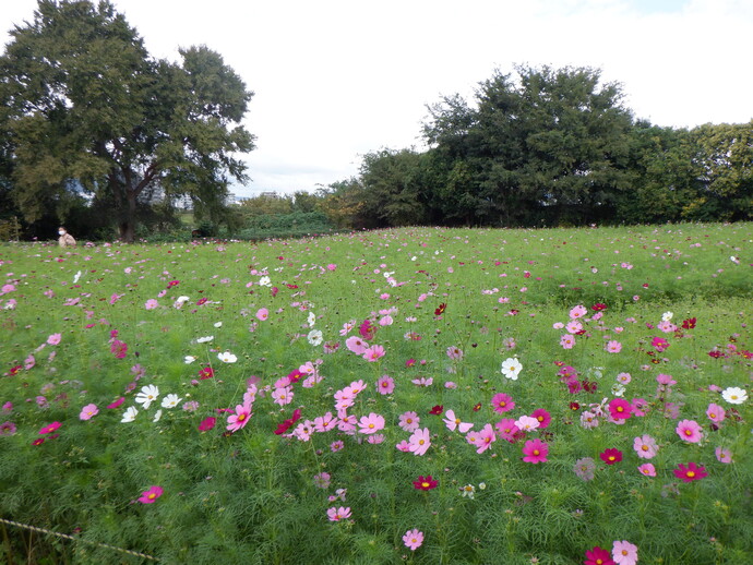 10月18日、現況写真