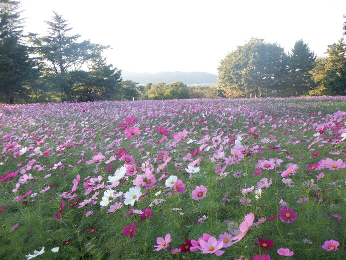 10月25日、現況写真