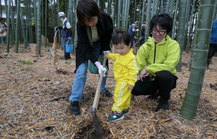 たけのこ掘りの様子