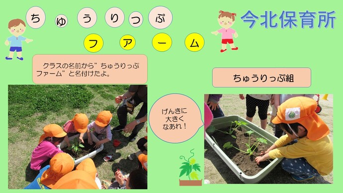 ～野菜の苗を植えました～