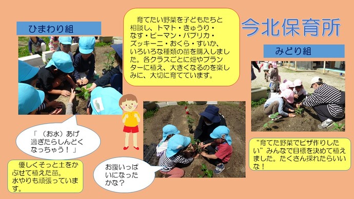 ～野菜の苗を植えました～