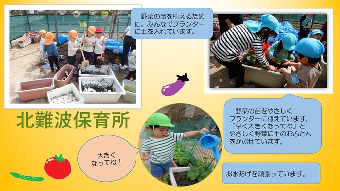 ～野菜の苗を植えました～