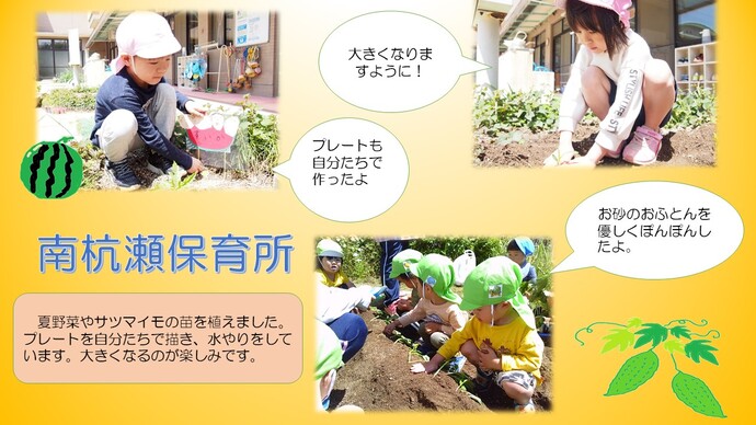 ～野菜の苗を植えました～