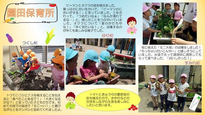 ～野菜の苗を植えました～