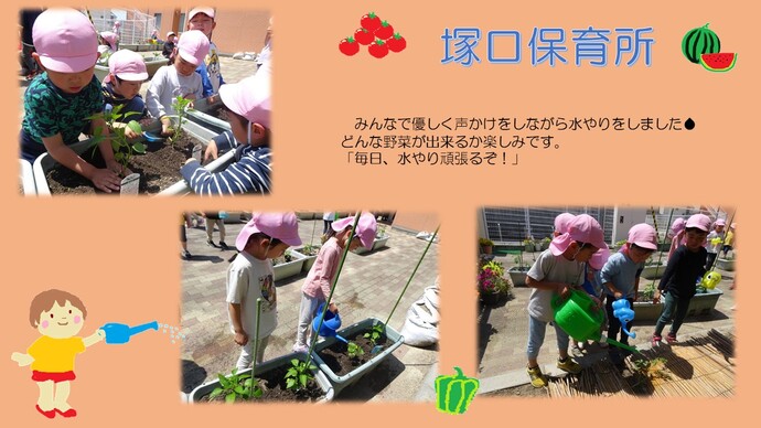 ～野菜の苗を植えました～