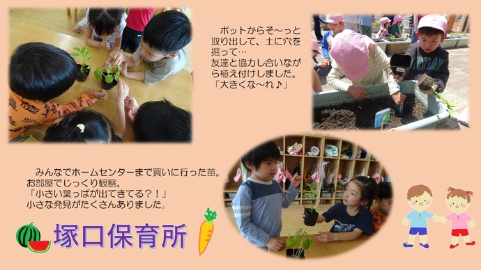 ～野菜の苗を植えました～