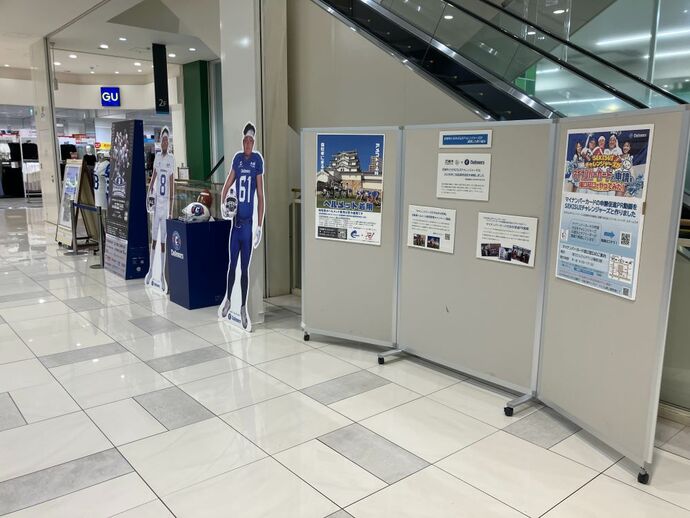展示の様子