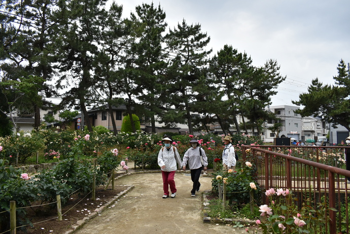 市民ウォークの様子