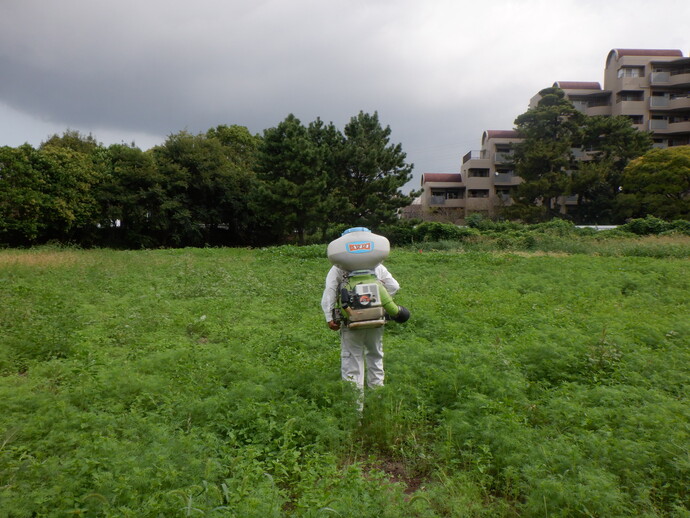 0928_追肥