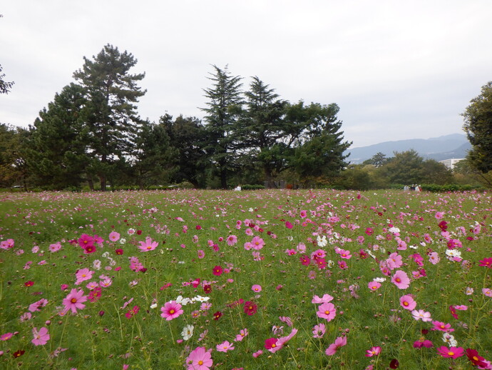 10月20日、現況写真