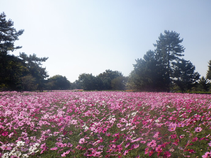 10月26日、現況写真