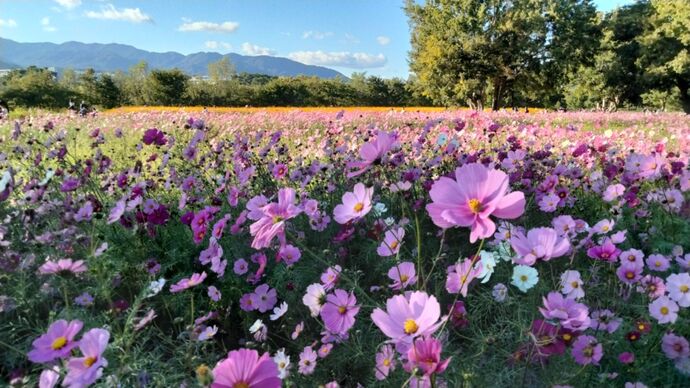 10月26日、現況写真