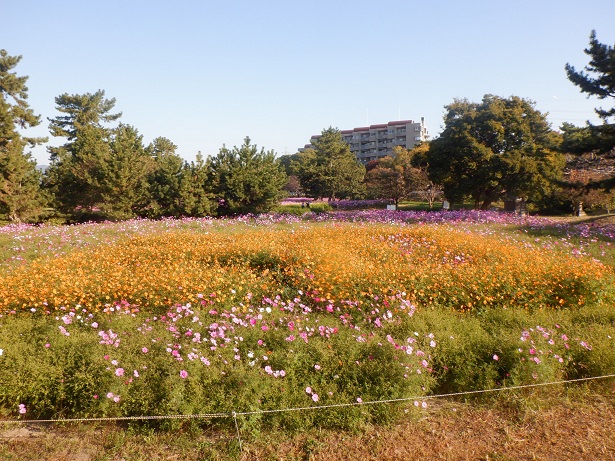11月1日、現況写真