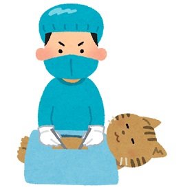 huetaneko