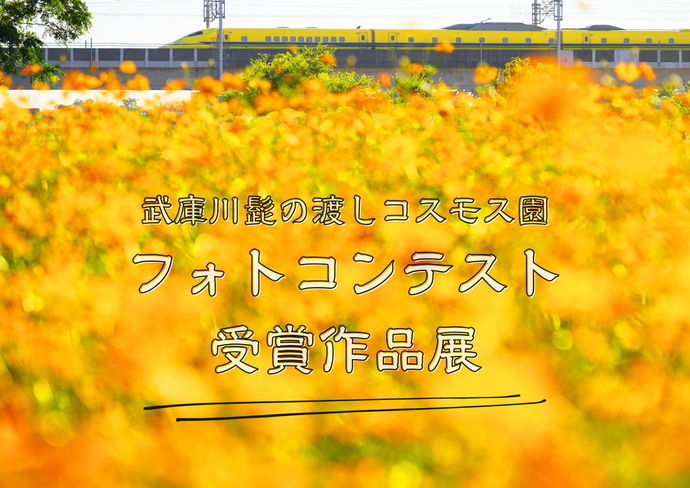 ポスター