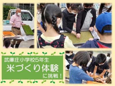 米作り体験に挑戦しました！