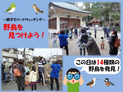バードウォッチングの様子