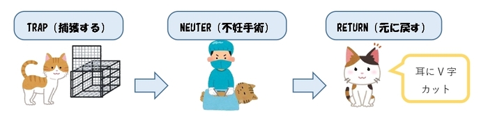 TNR