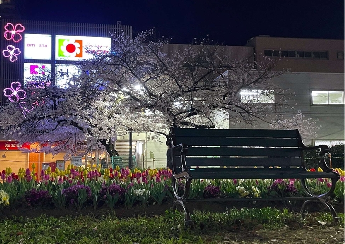 咲き誇る夜